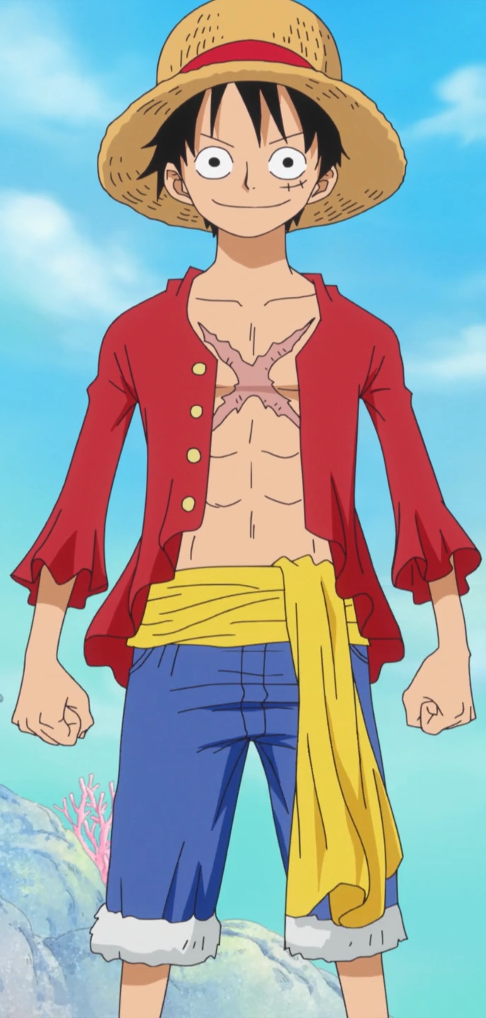 Luffy #4